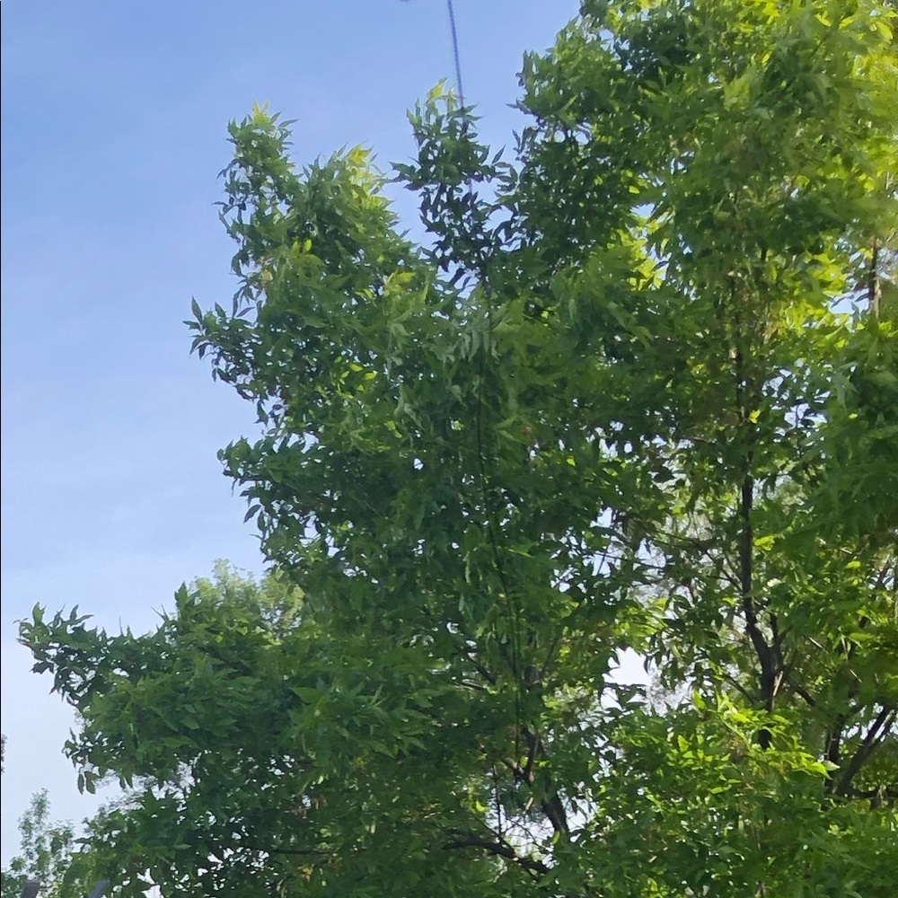 Meet your Posher, Ari